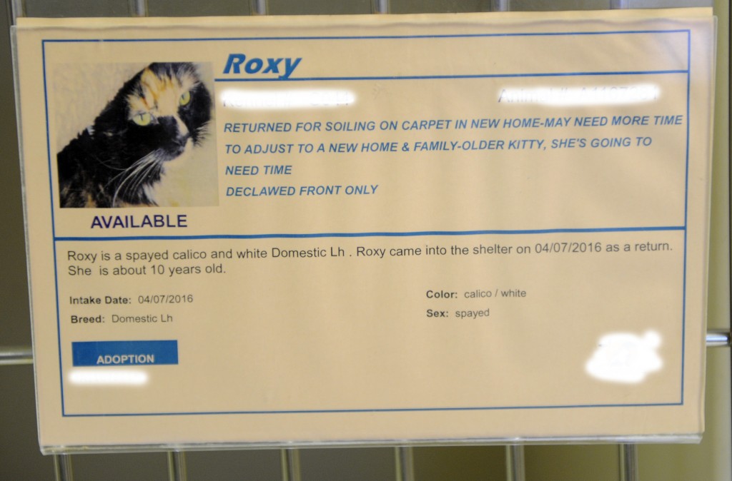 Roxy4