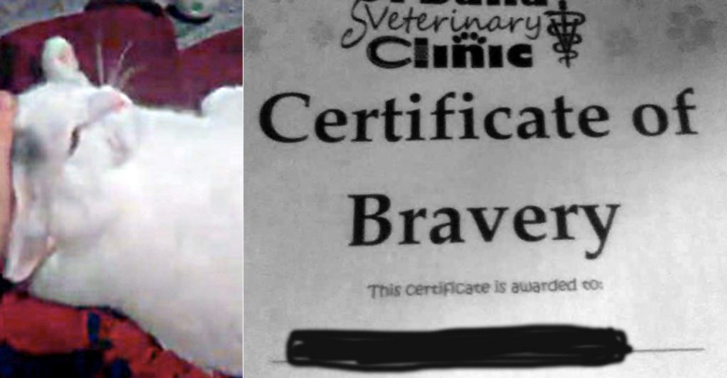 bravery-certificate-1copy