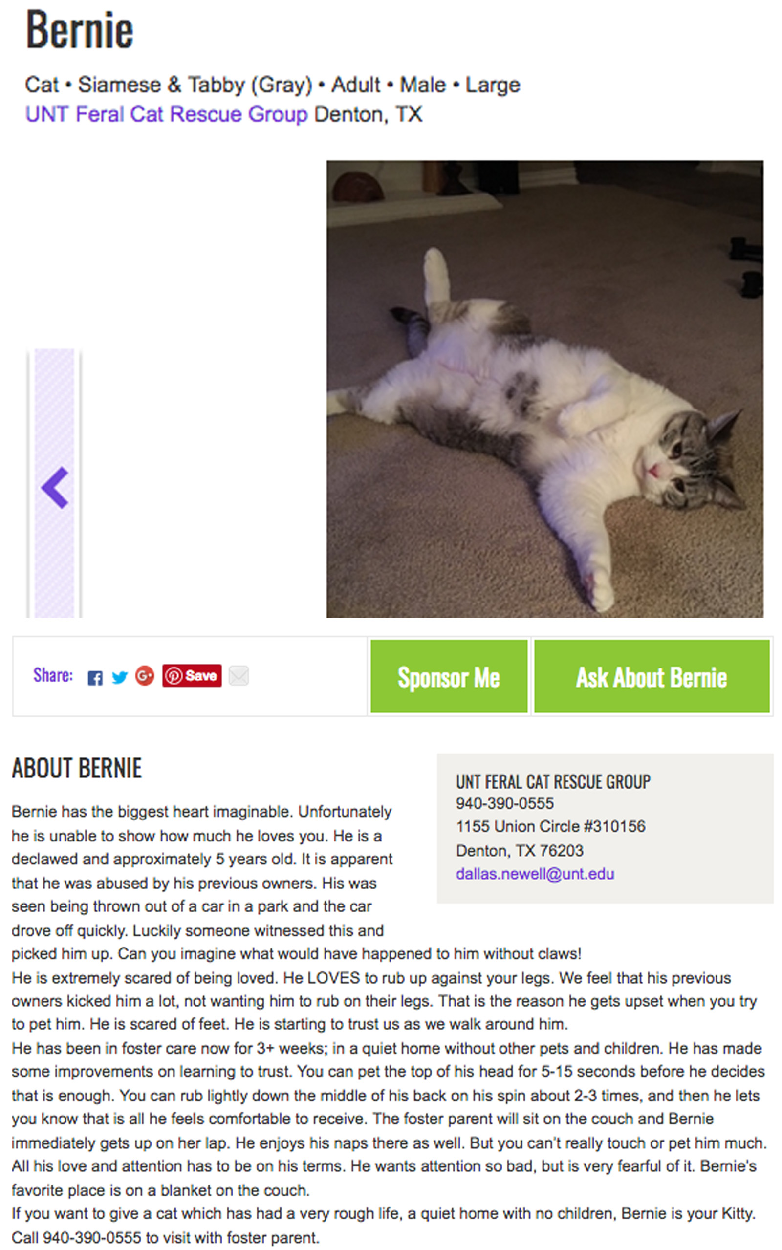 Texas Coalition for ANIMAL PROTECTION Stopped Declawing ...