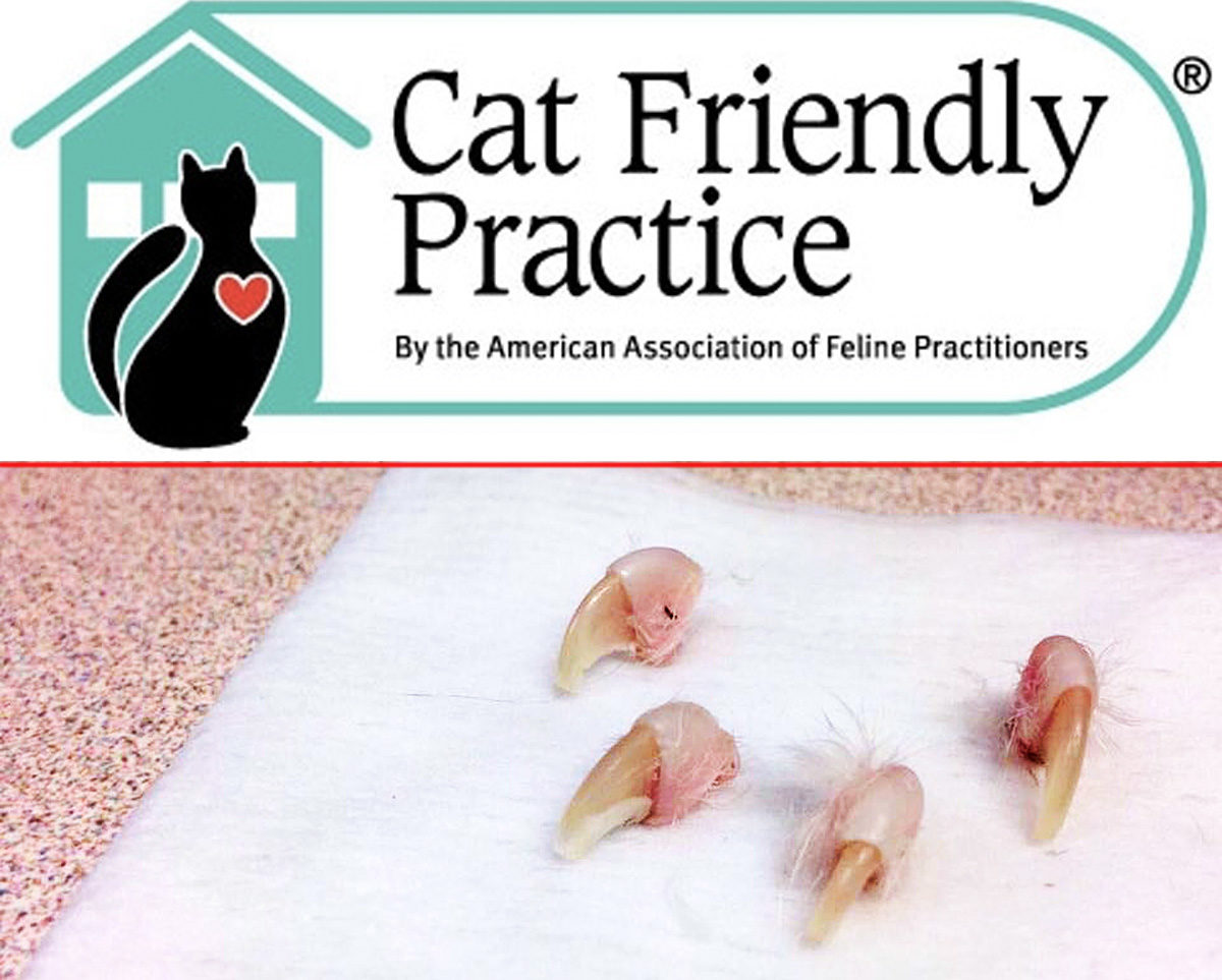vet clinics that declaw cats near me