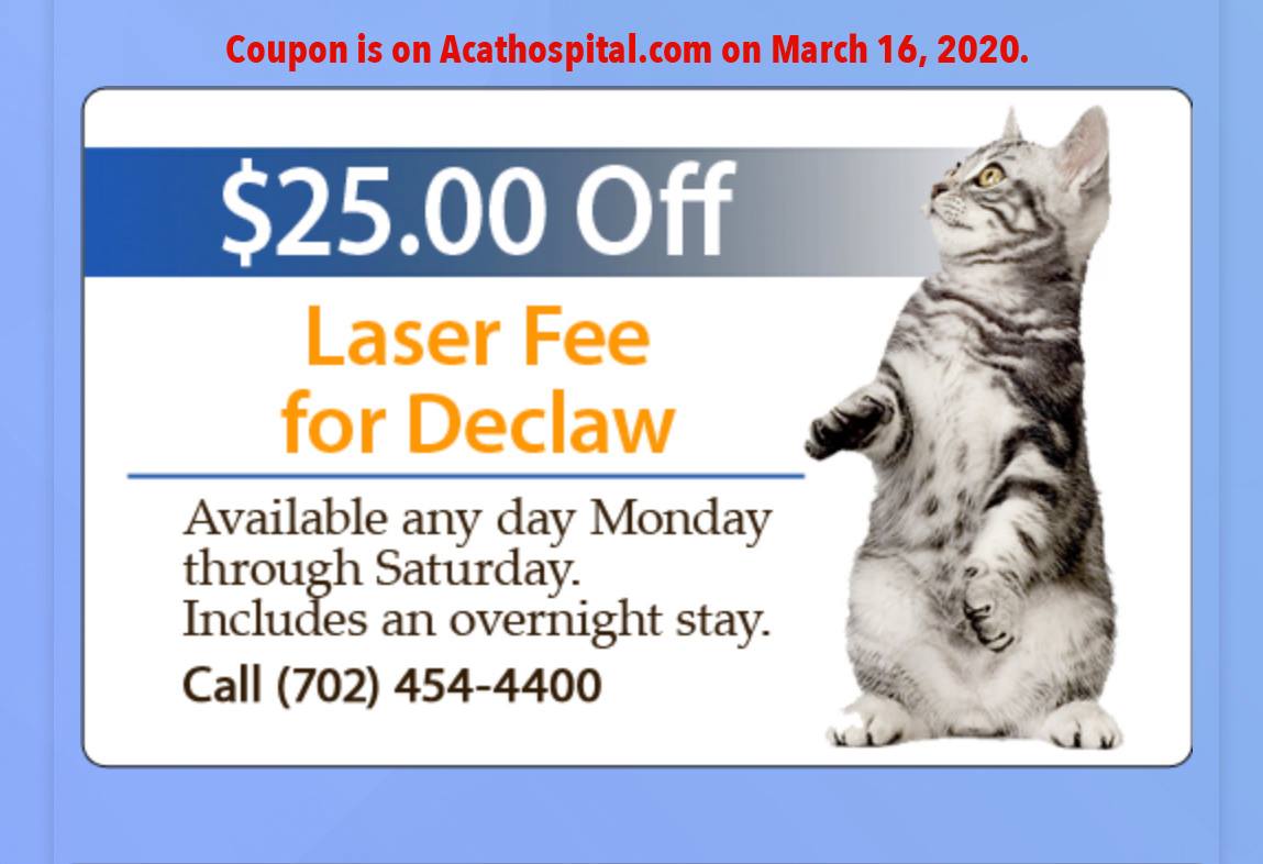 cost to neuter and declaw a cat Sebrina Dwyer