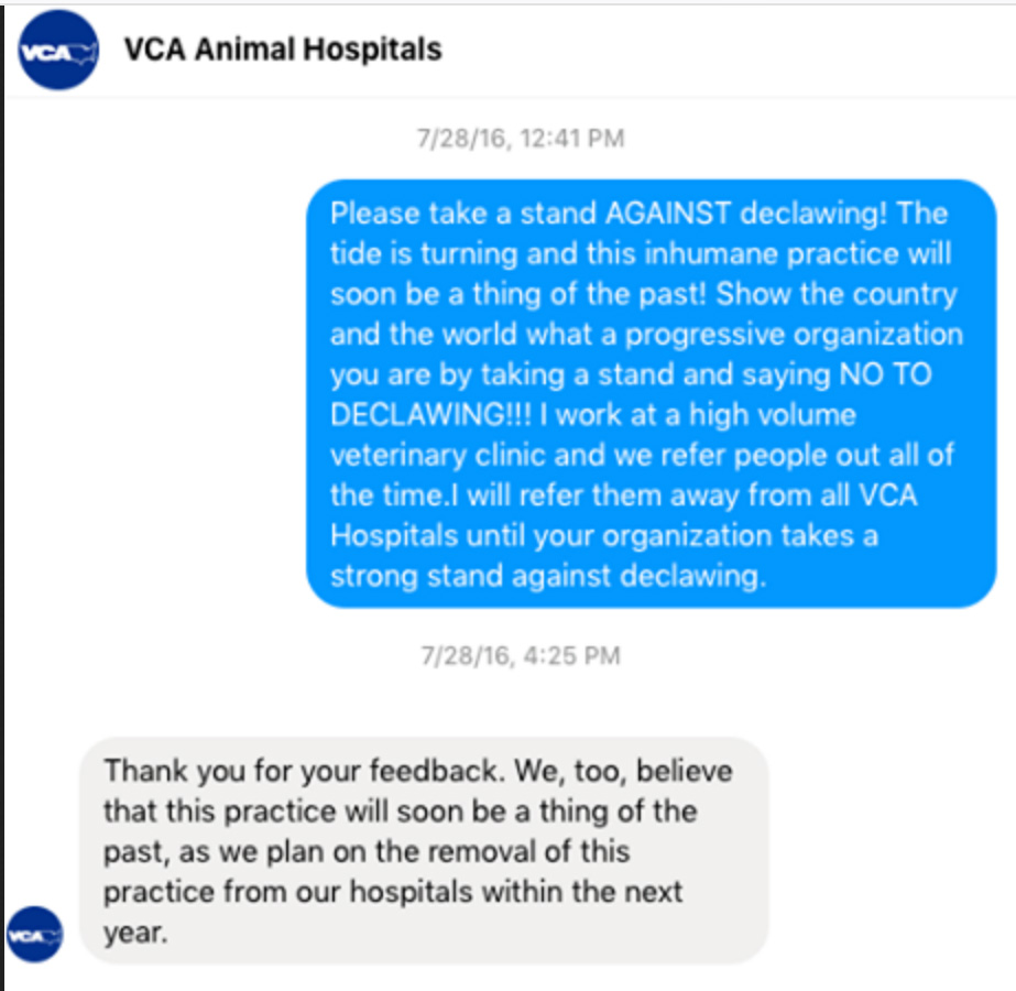 Why are VCA Animal Hospitals in America Still Declawing Cats? - City the  Kitty - Official
