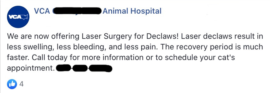 Why are VCA Animal Hospitals in America Still Declawing Cats? - City the  Kitty - Official