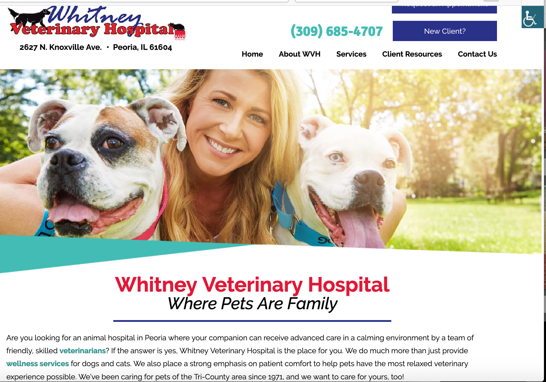 Acupuncture For Dogs In Peoria Il Whitney Veterinary Hospital