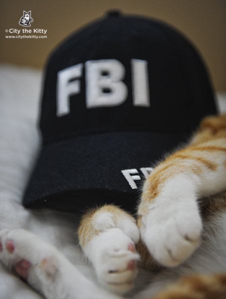 FBI-2