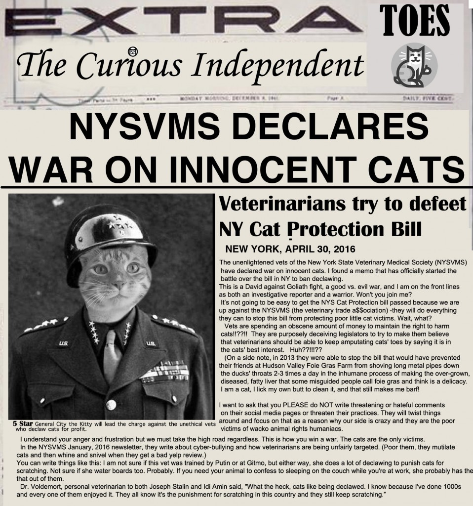 NYSVMS Newspaper