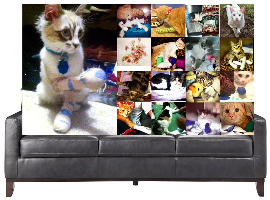 collagesofa