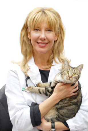 Dr Christianne Schelling's Facts About Declawing & The Humane ...