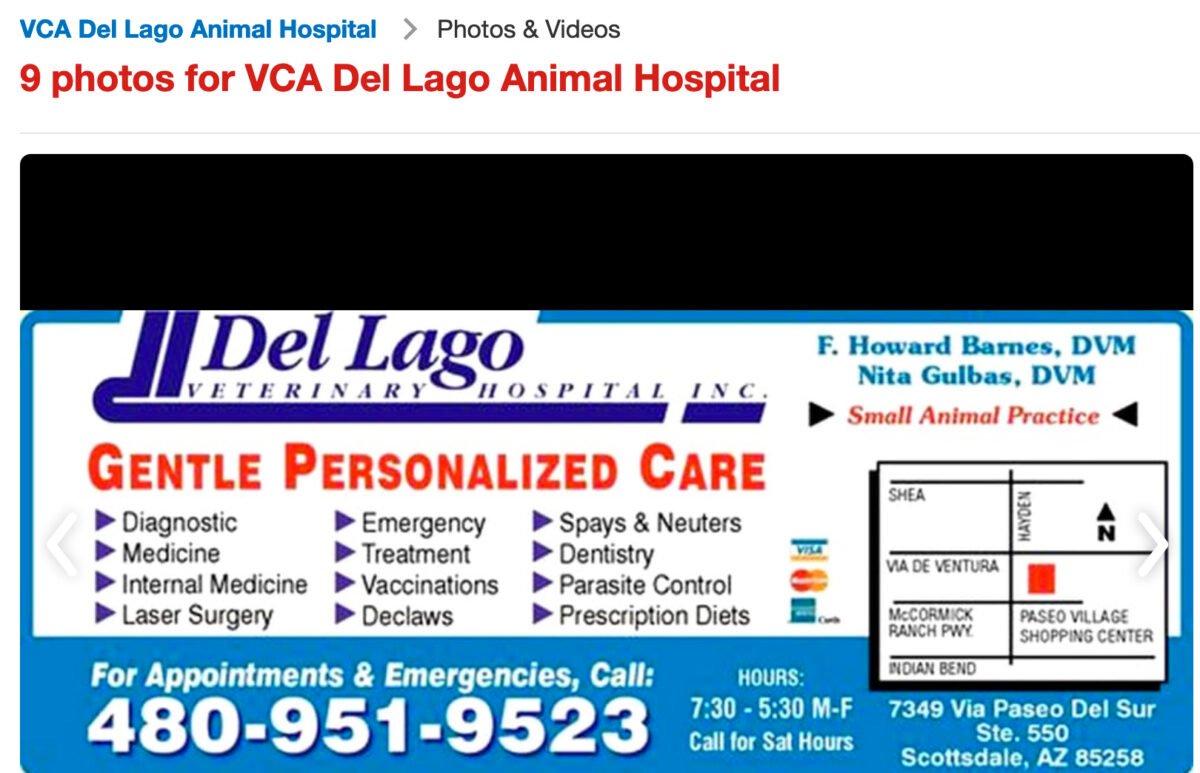Why are VCA Animal Hospitals in America Still Declawing Cats? City