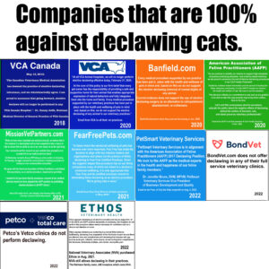 Declawing Facts vs Myths & Humane Options - City the Kitty - Official