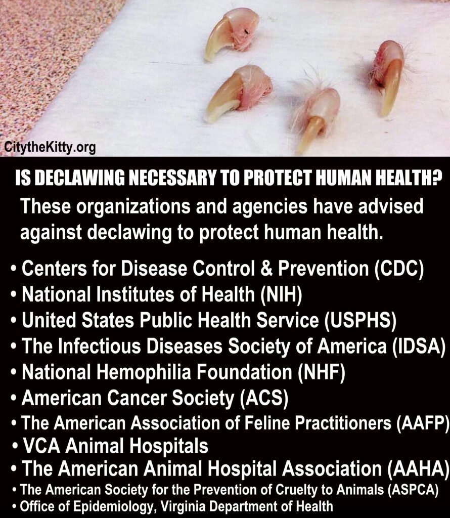 Four Animal Welfare Organizations Chose The Virginia Veterinary Medical ...