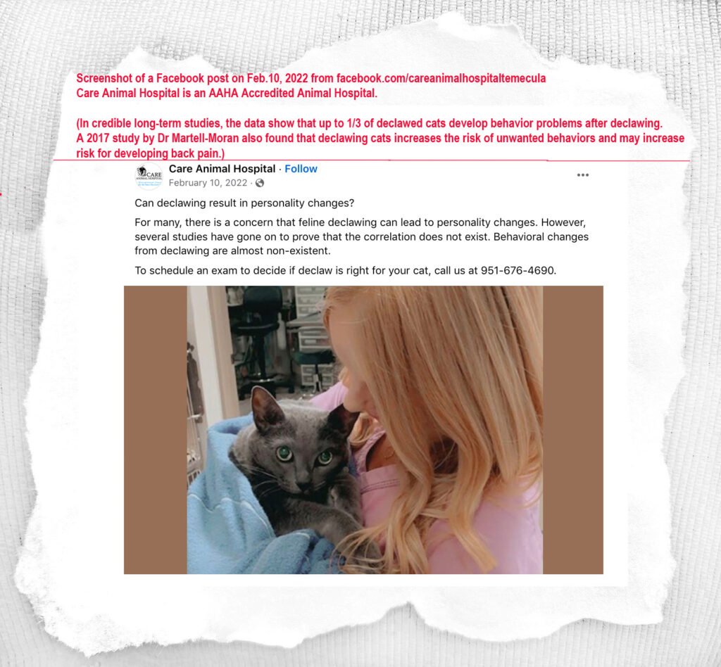 In 2024 The CVMA Once Again Tried To Keep Declawing Legal in California ...